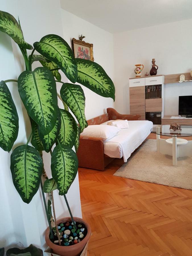 Apartment Marija & Iko โตรกีร์ ภายนอก รูปภาพ